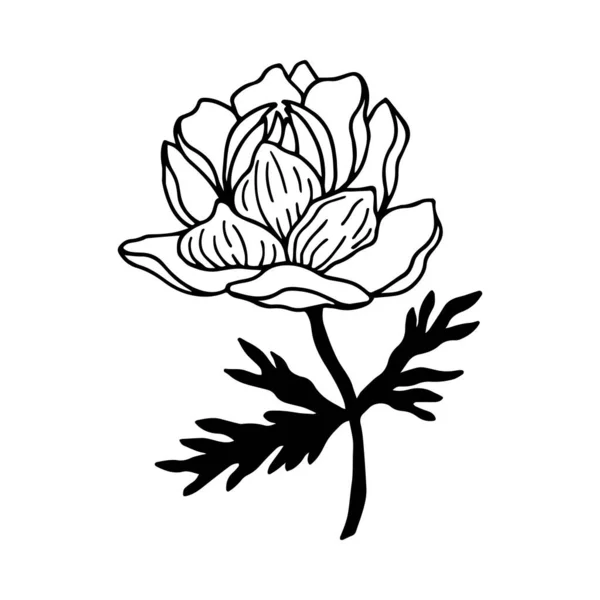 春の花 ベクターストックイラストEps10 白の背景 手描きで分離 — ストックベクタ