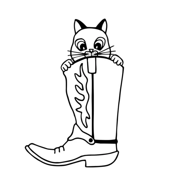 猫はブーツから目を覚ました ベクターストックイラストEps10 白の背景 手描きで分離 — ストックベクタ