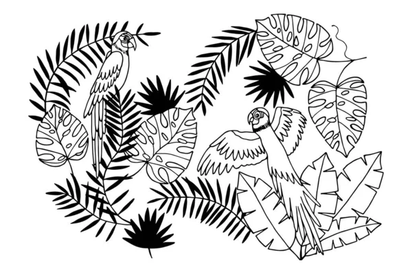 Hojas Tropicales Monstera Plátano Loros Ilustración Stock Vectorial Eps10 Aislar — Archivo Imágenes Vectoriales