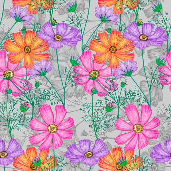Kozmea Çiçeklerinin Kusursuz Deseni Suluboya Çizimi — Stok fotoğraf