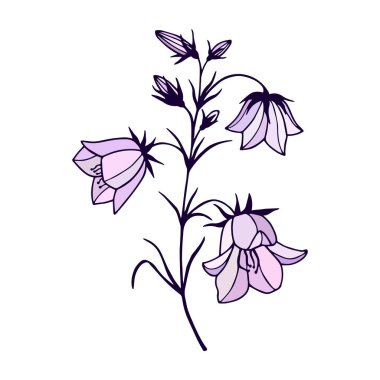 Çiçek Çanları. Vektör hisse senedi çizimi E10. Taslak, el çizimi. Beyaz arkaplanda izole et.