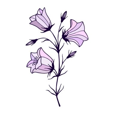 Çiçek Çanları. Vektör hisse senedi çizimi E10. Taslak, el çizimi. Beyaz arkaplanda izole et.