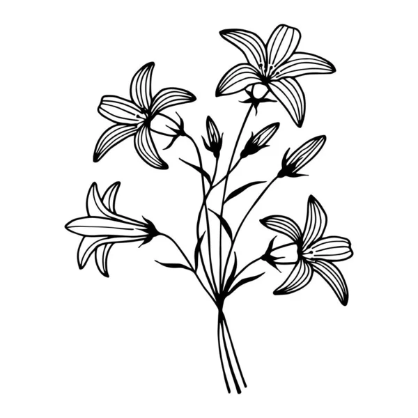 Çiçek Çanları. Vektör hisse senedi çizimi E10. Taslak, el çizimi. Beyaz arkaplanda izole et.