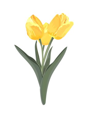 Bir buket lale. Vektör stok illüstrasyonu 
