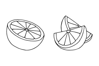 Taze limon dilimleri ikonu. vektör illüstrasyonu