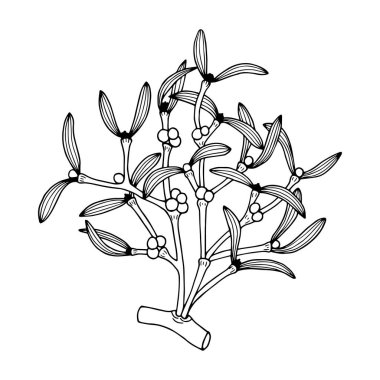 Güzel bir botanik arkaplanının vektör çizimi