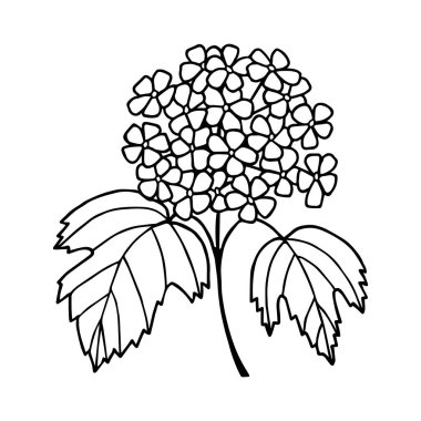 Yapraklı güzel çiçeklerin vektör çizimi