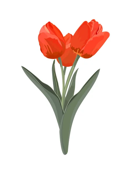 チューリップの花束 ベクターストックイラスト — ストックベクタ