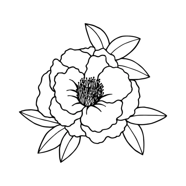 葉を持つ美しい花のベクトル図 — ストックベクタ