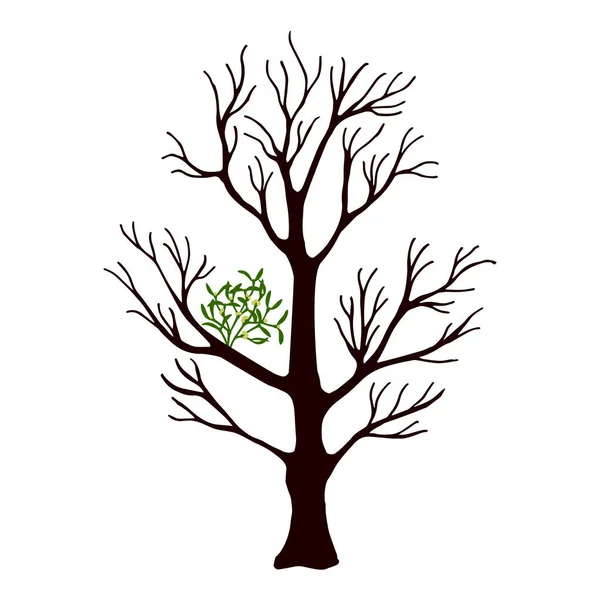 Illustration Vectorielle Icône Arbre — Image vectorielle