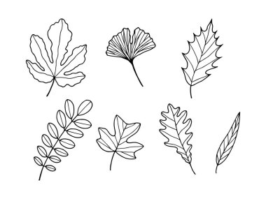 İncir, Ginkgo, Holly, Acacia, Lale Ağacı, Oak, Willow. Vektör hisse senedi çizimi. Özet geç, beyaz arkaplanda izole et. El çizimi.