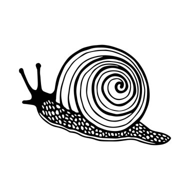 Salyangoz Vektör hisse senedi çizimi. Özet geç, beyaz arkaplanda izole et. El çizimi.