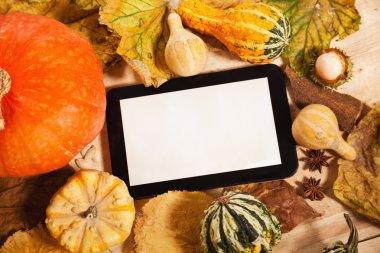 sonbahar dekorasyonu