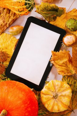 sonbahar dekorasyonu