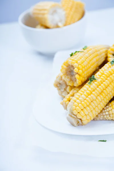 Steamed corn on the cob — Stock Photo, Image