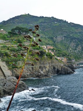 İtalya, liguria, cinque terre