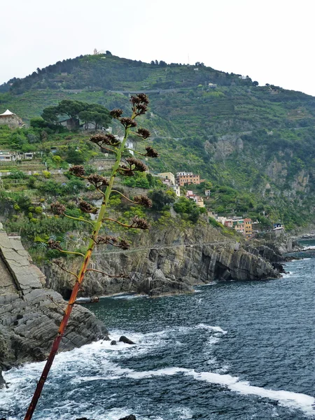 Itália, Ligúria, Cinque Terre — Fotografia de Stock