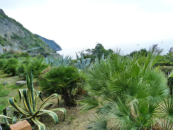 Itália, Ligúria, Cinque Terre — Fotografia de Stock