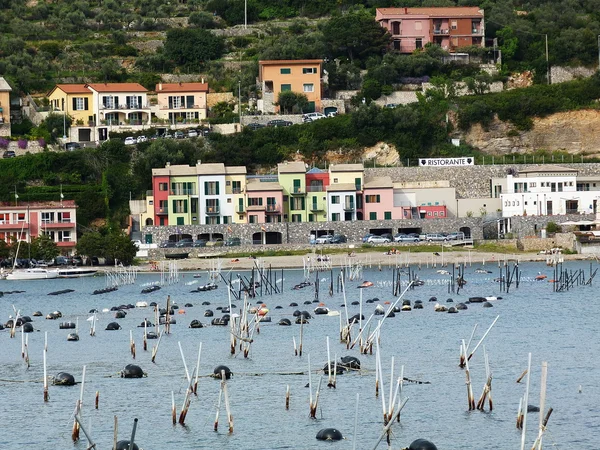 Maisons colorées dans la baie de Portovenere, Italie — Photo