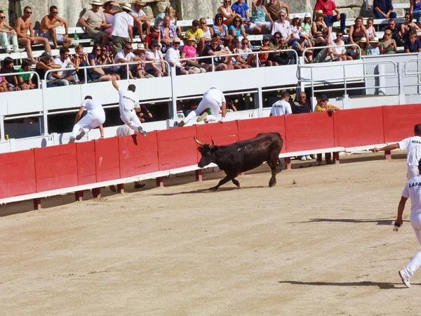 Kursen Racecamarguaise, arles, france — Stockfoto