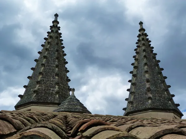Taket i påvliga palatset i avignon, Frankrike — Stockfoto