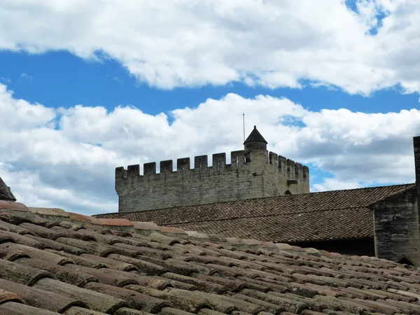 Roof of the Papal Palace in Avignon, France — Stock Photo, Image