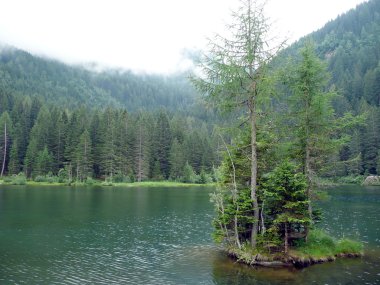 Caprioli lake, pellizzano, İtalya