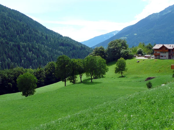 Tal im Trentino, Italien — Stockfoto