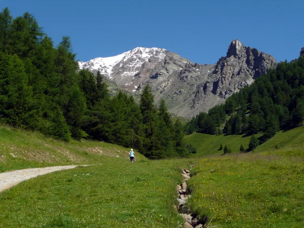 Góry Trentino, italy — Zdjęcie stockowe