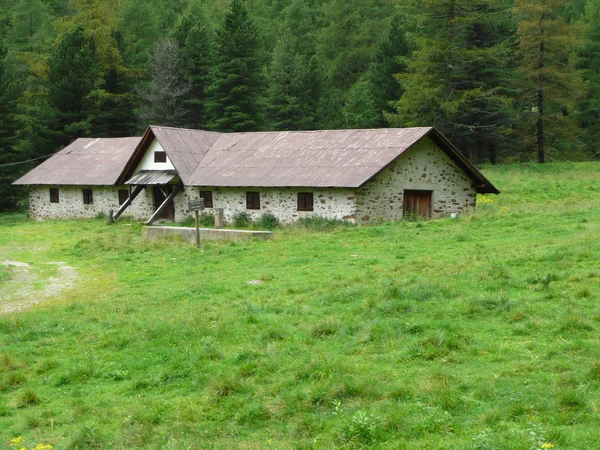 Tipikus farm Trentino, Olaszország — стокове фото