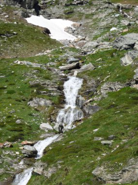 Fransız savoy Stream