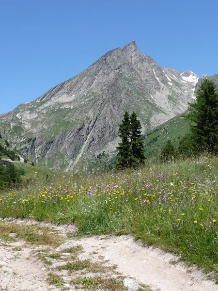 Mountain path in French Savoy — Stock Photo, Image