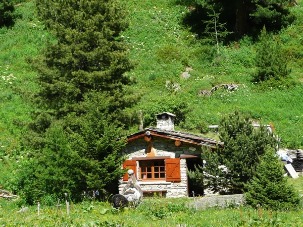 Chalet in französisch savoy — Stockfoto