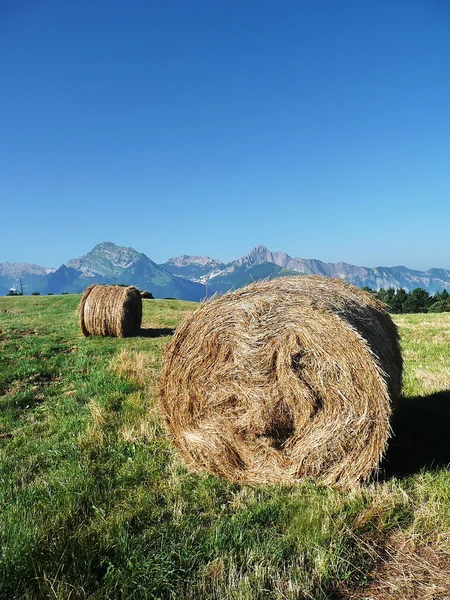 Sheaves on Mount Argegna with the Apuan Alps in the background, Lunigiana, Italy — Stock Photo, Image