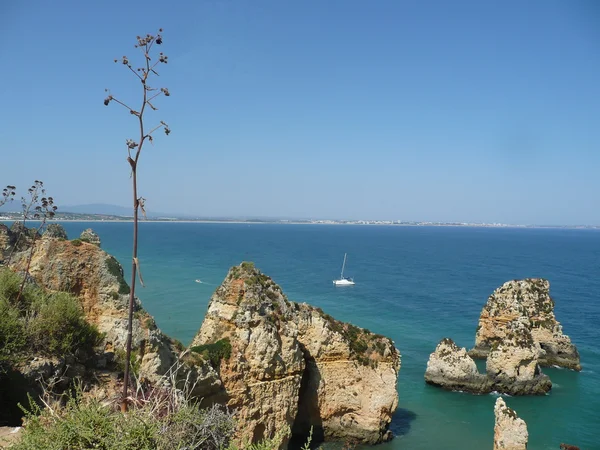 Rots in de zee van algarve, portugal — Stockfoto