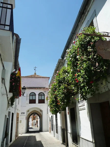 Rua de Zafra, Espanha — Fotografia de Stock