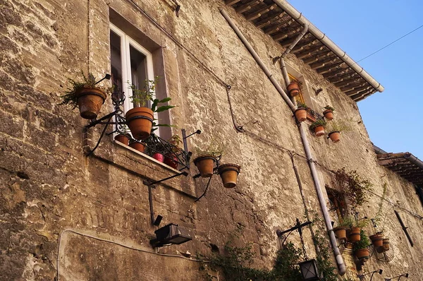 Ventanas Típicas Con Floreros Una Casa Centro Histórico Asís Italia —  Fotos de Stock