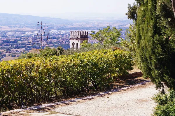 意大利罗卡少校山上的Assisi视图 — 图库照片