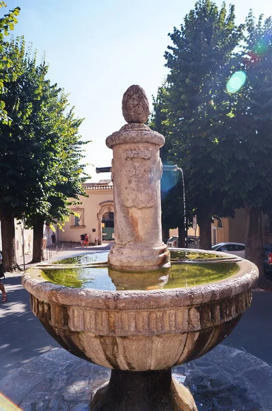 Fuente Plaza Del Vescovado Asís Italia — Foto de Stock