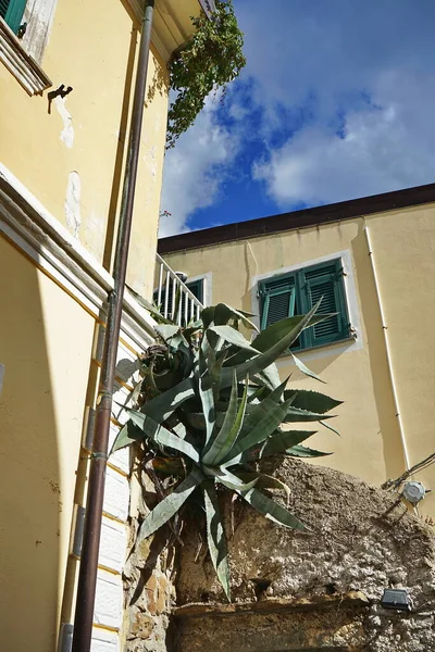 Detalhe Das Casas Riomaggiore Cinque Terre Itália — Fotografia de Stock