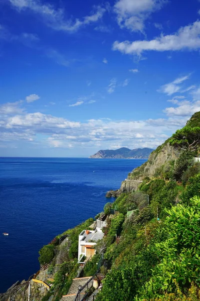 Falaise Sur Mer Riomaggiore Cinque Terre Italie — Photo