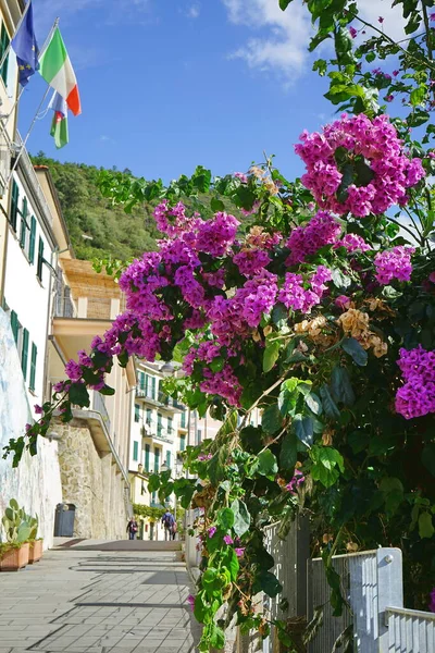 Street Village Riomaggiore Cinque Terre Italy — Stock Photo, Image