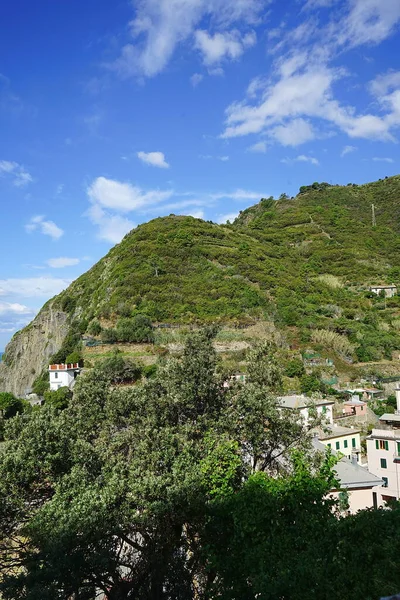 Cliff Sea Riomaggiore Cinque Terre Italy — Stock Photo, Image