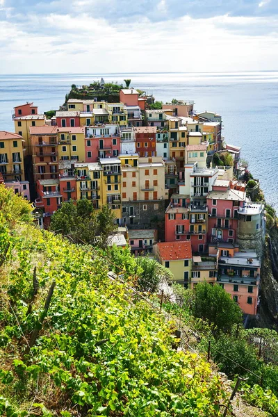Veduta Del Paese Manarola Cinque Terre Italia — Foto Stock