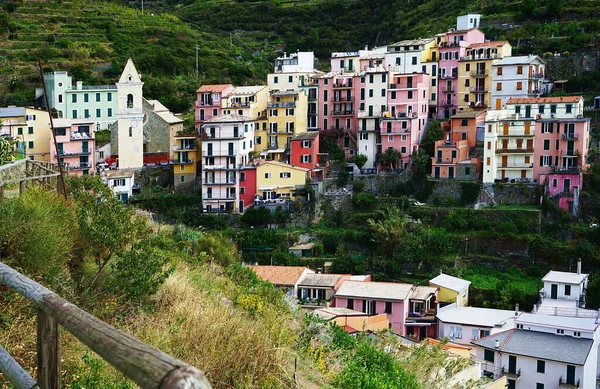 Veduta Del Paese Manarola Cinque Terre Italia — Foto Stock