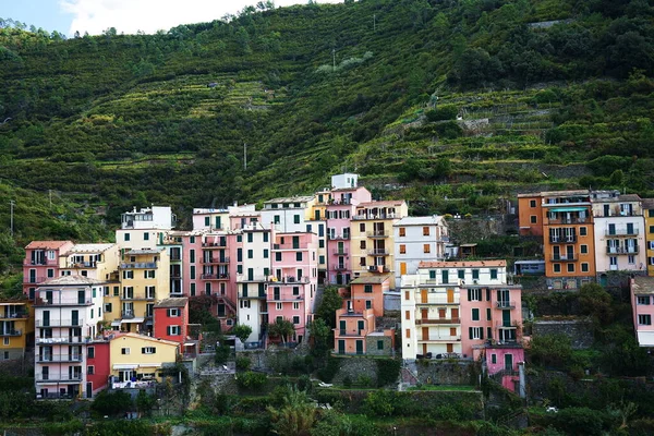 Vista Del Pueblo Manarola Cinque Terre Italia —  Fotos de Stock