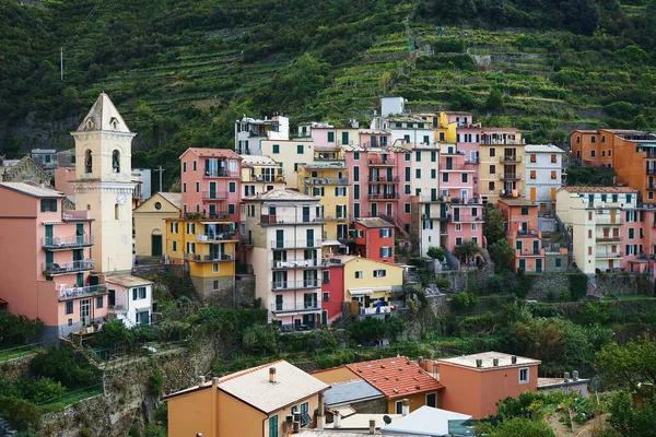 Vista Del Pueblo Manarola Cinque Terre Italia —  Fotos de Stock