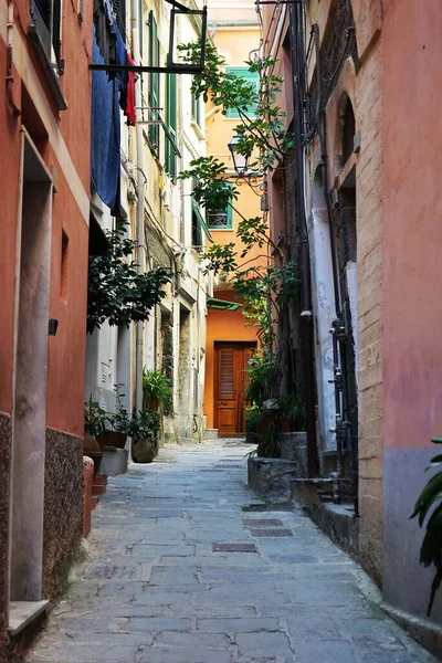 Rua Aldeia Vernazza Cinque Terre Itália — Fotografia de Stock