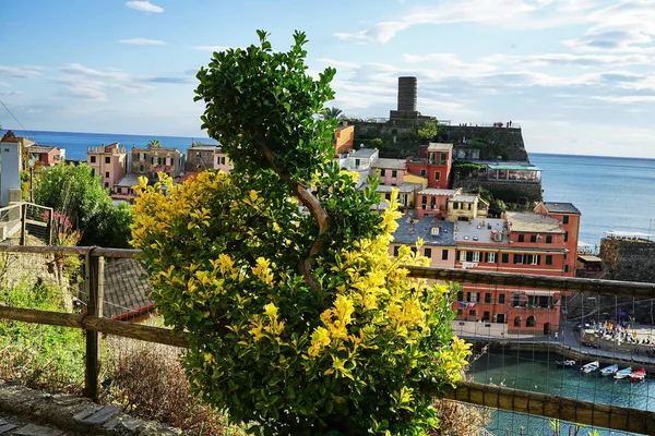 View Village Vernazza Cinque Terre Italy — Stock Photo, Image