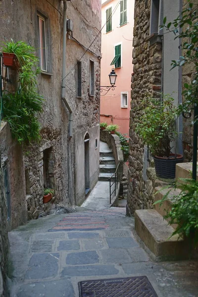 Rue Village Vernazza Cinque Terre Italie — Photo